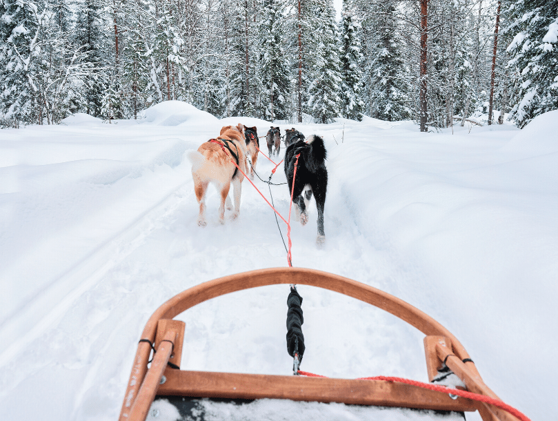 5 activités neige et nature Spécial Noël  Atlas For Men