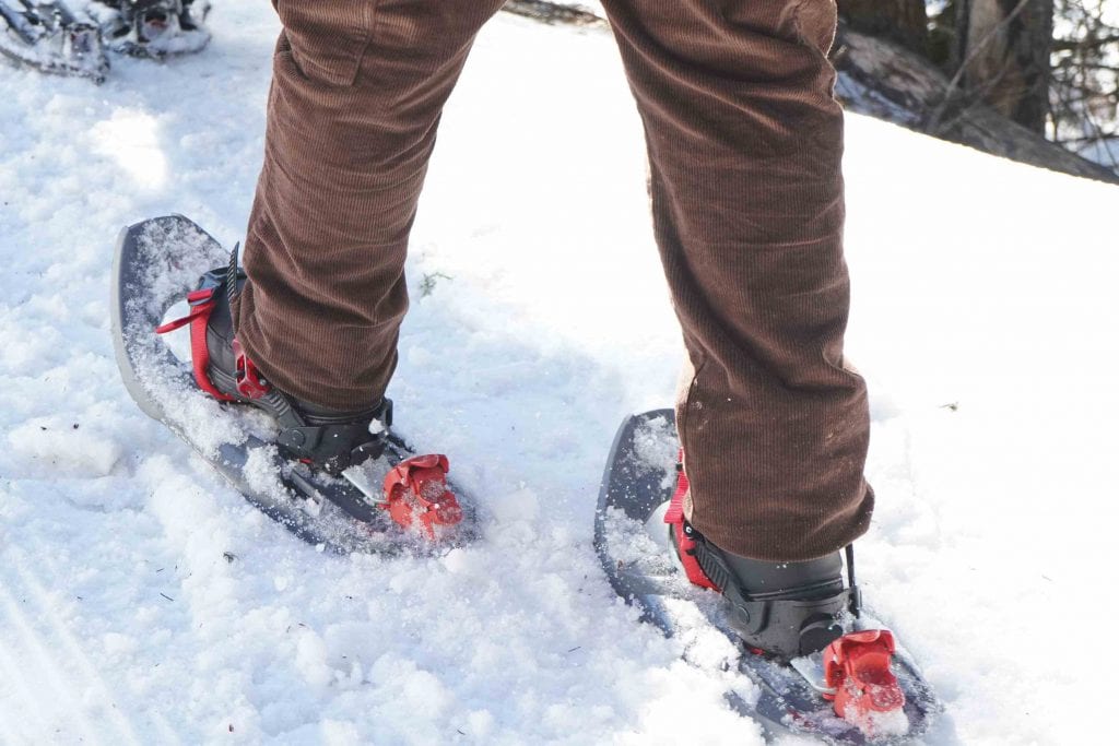 Choisir ses raquettes à neige