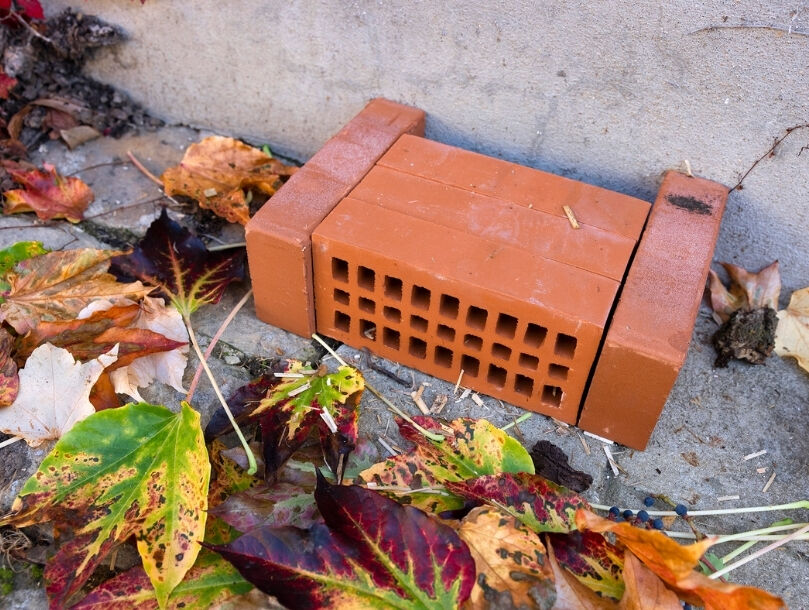 Hôtel à insectes