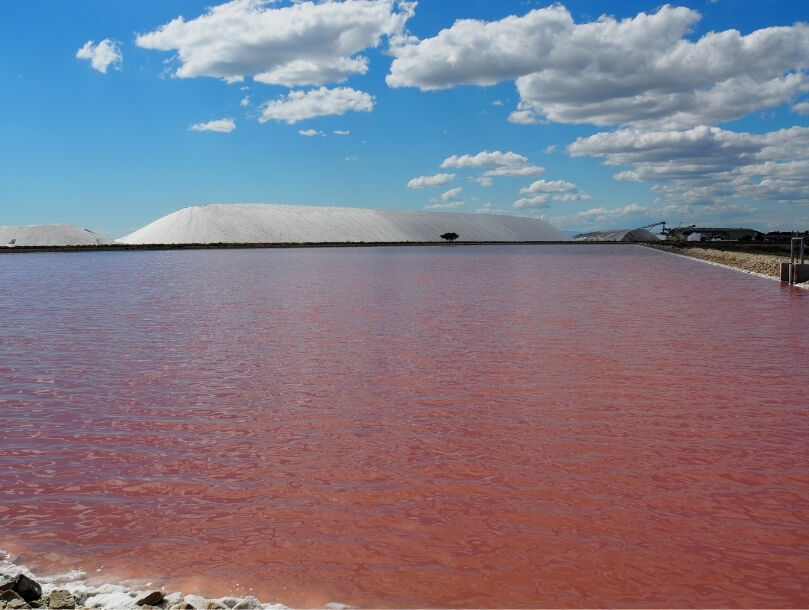 salins camargue