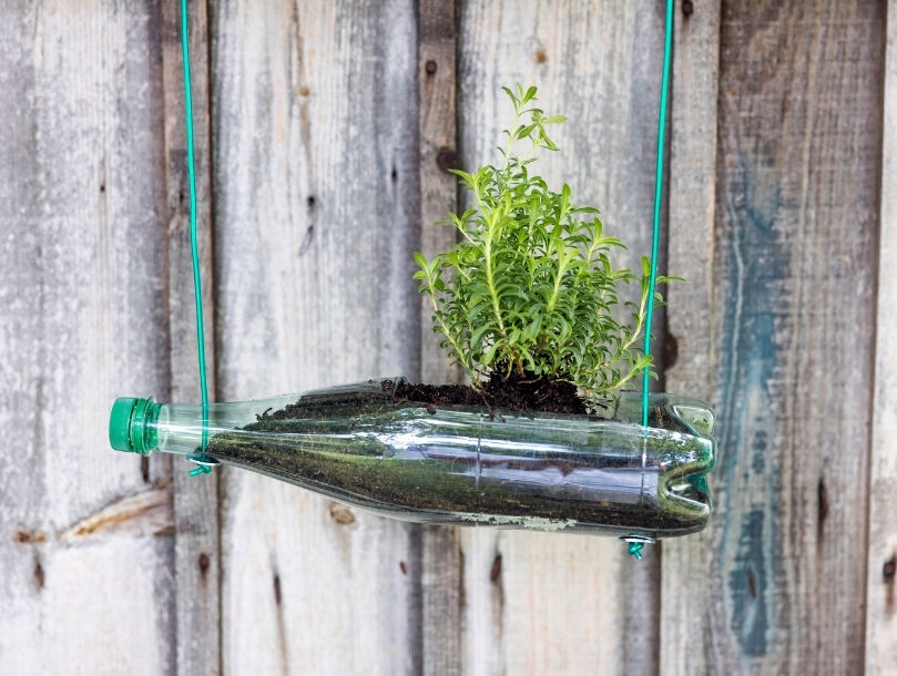 rendu final jardiniere bouteille